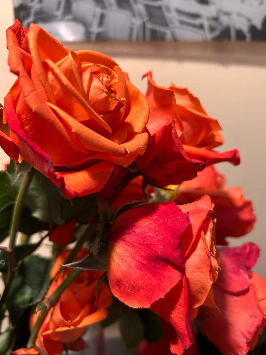 Get IN — The Next Doable Thing