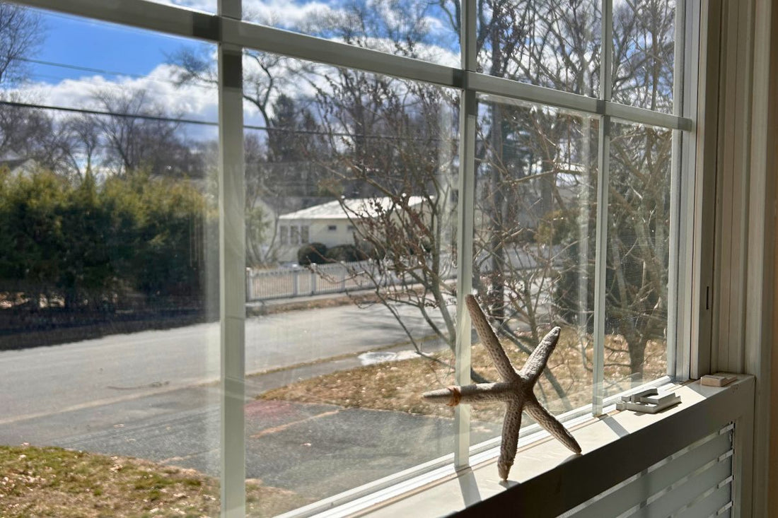 A seastar sits on the window sill overlooking a neighborhood yard and evergreens under a bright blue sky.