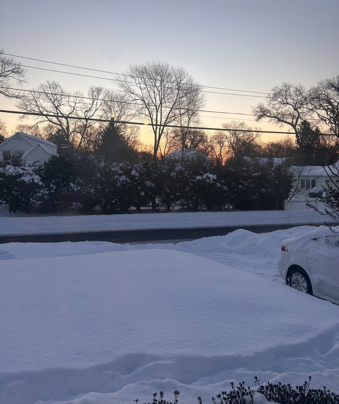 January 2026:  Winter Markets, Staying Warm, and A Rebuild