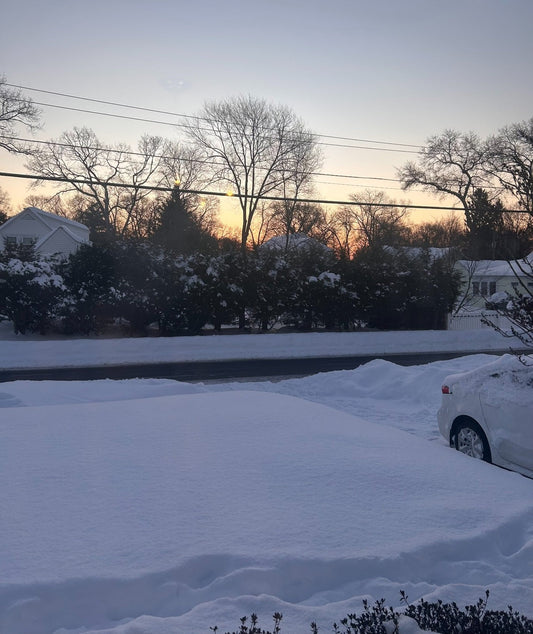 January 2026:  Winter Markets, Staying Warm, and A Rebuild