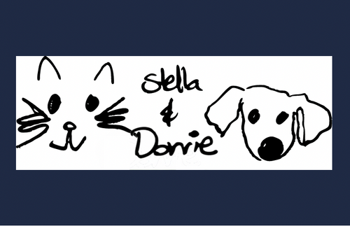 Stella & Dorrie Studio