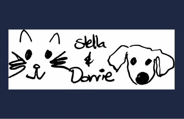 Stella & Dorrie Studio