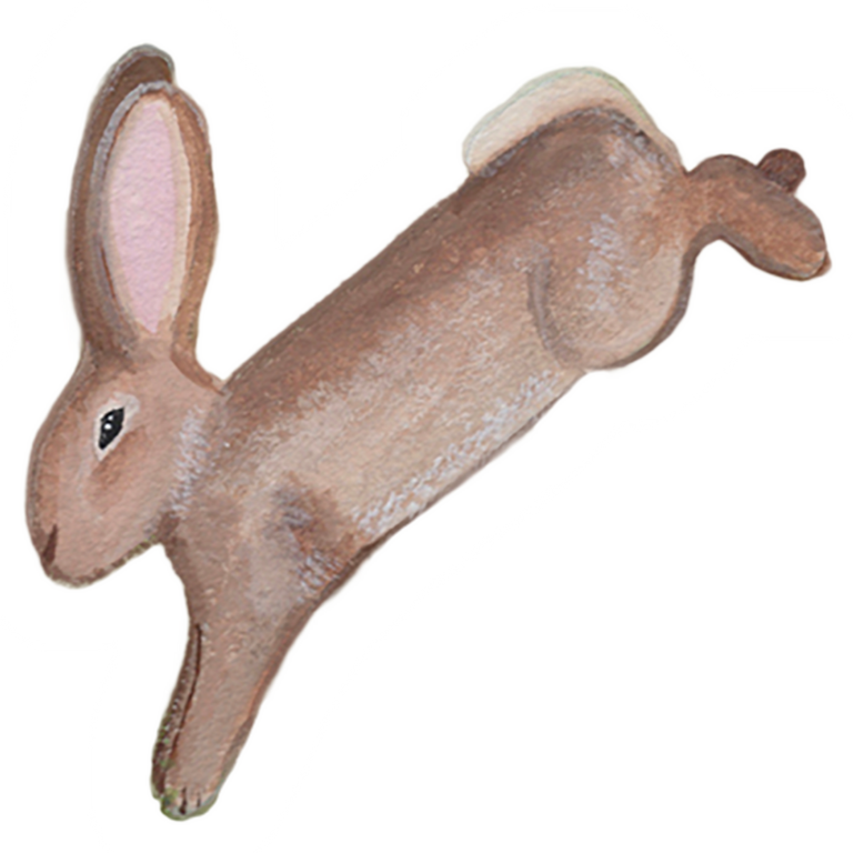 Miranda Miller, Stella & Dorrie Studio, 'Leap' bunny matte sticker, gouache on paper with colored pencil, a warm, joyful illustration.