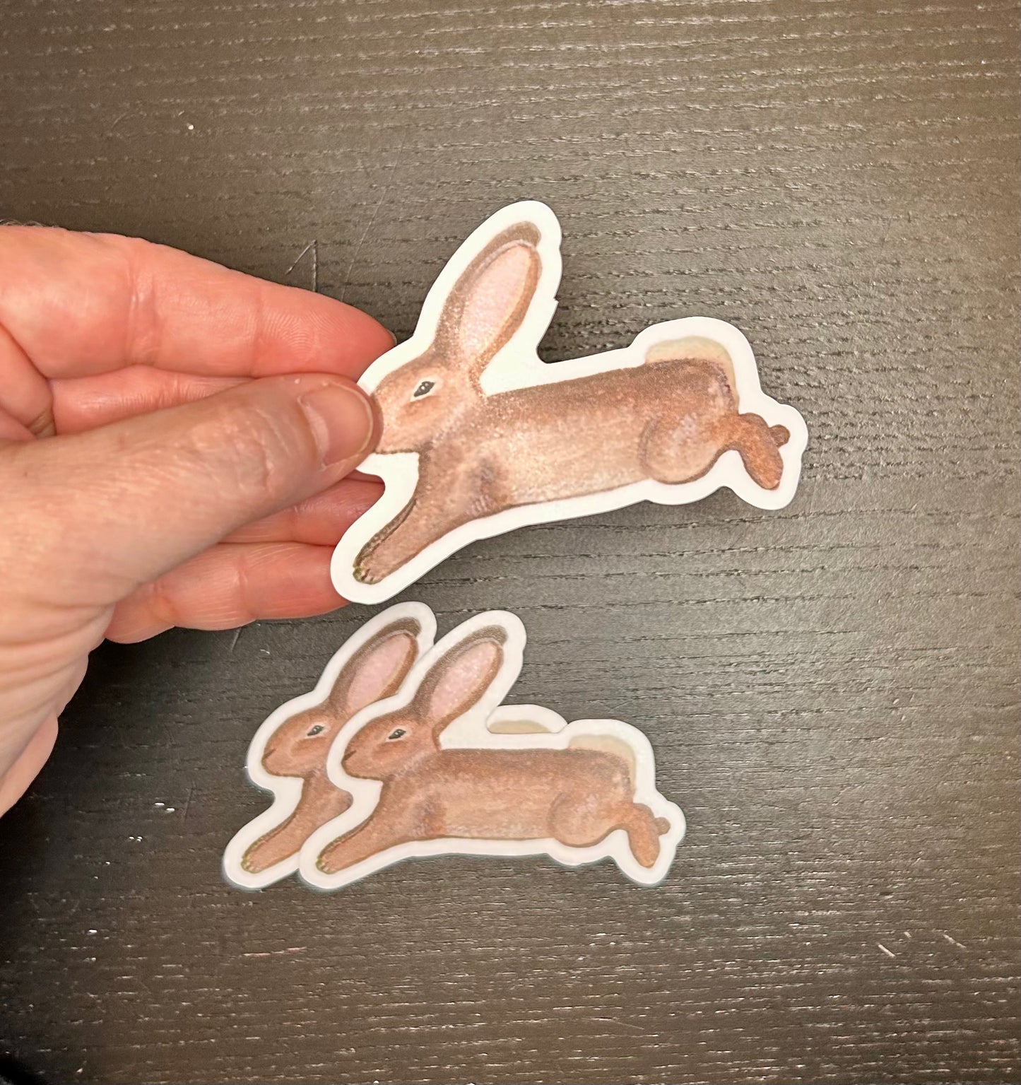 Die-cut stickers of the Stella & Dorrie "Leap" bunny, matte finish, one held in hand and 2 shown on black wooden table background.