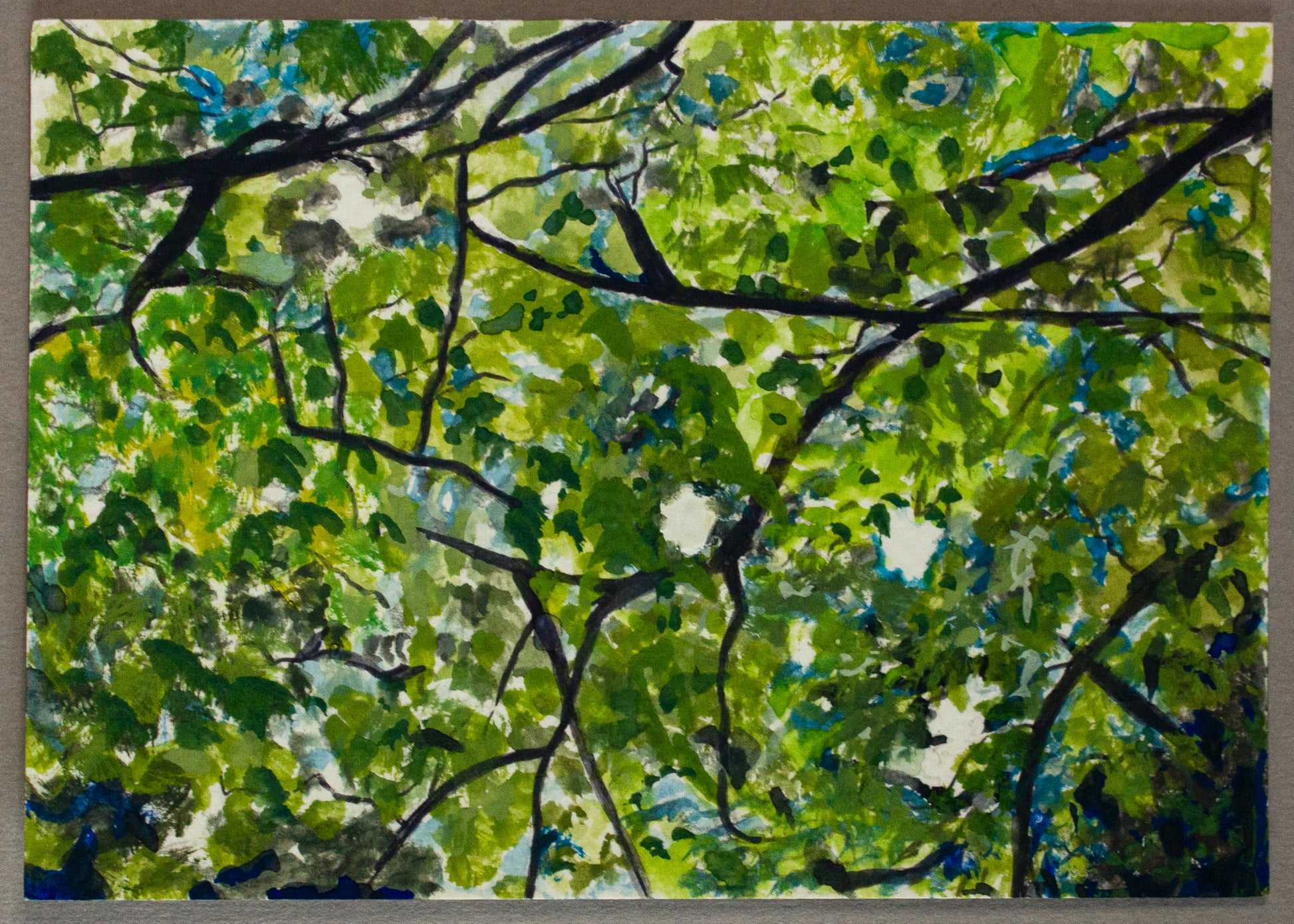 Miranda Miller, Stella & Dorrie Studio, 'Look Up!" Painting of a leafy green tree canopy seen from below, crisscrossing brown branches and layers of sunlit and shadowed leaves with small patches of pale sky showing through.