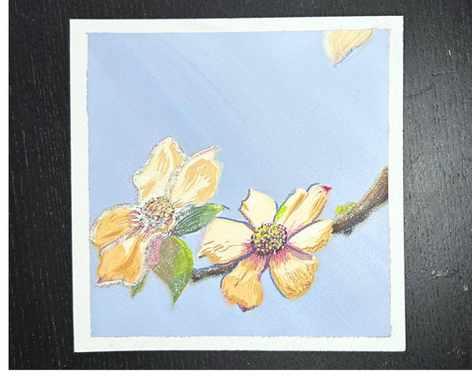 A square original gouache painting featuring a pastel blue sky with two dogwood flowers on a branch, placed on a dark wood surface.