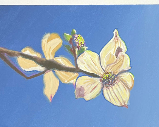 Stella & Dorrie Studio's original gouache painting of dogwood flowers and a bud against a true blue background. 