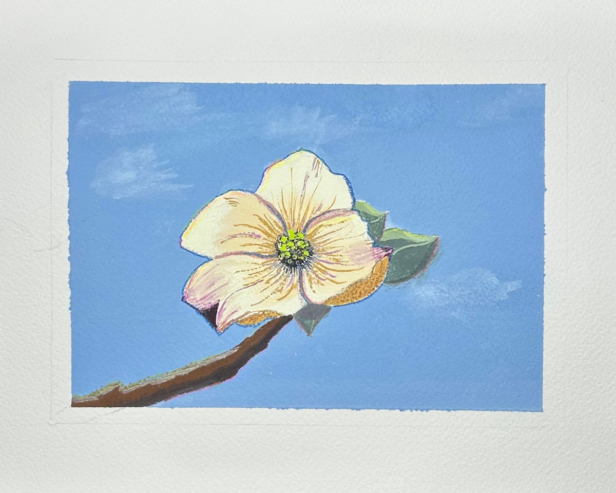 Walking on Sunshine: Dogwood