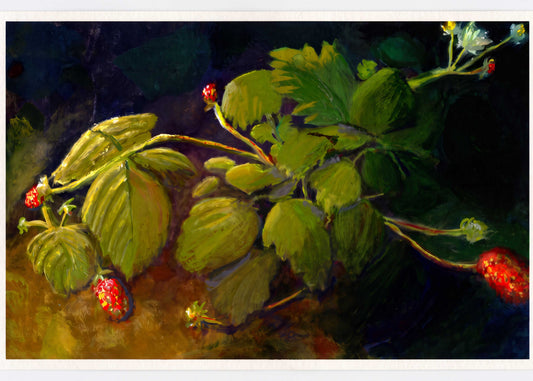 Stella & Dorrie Studio original gouache strawberry plant painting featuring warm sunlit berries and earth.