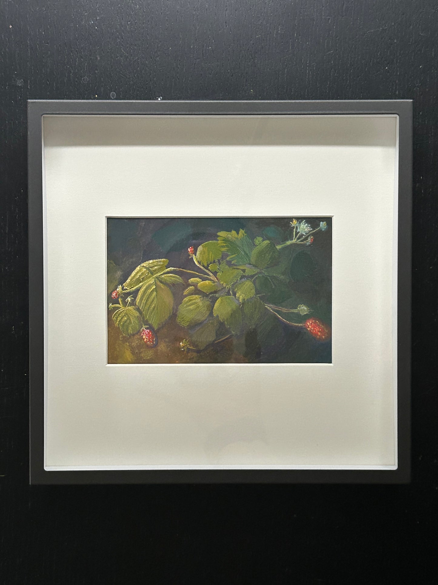  An original gouache painting of a strawberry plant with berries and flowers in the warm sun.
