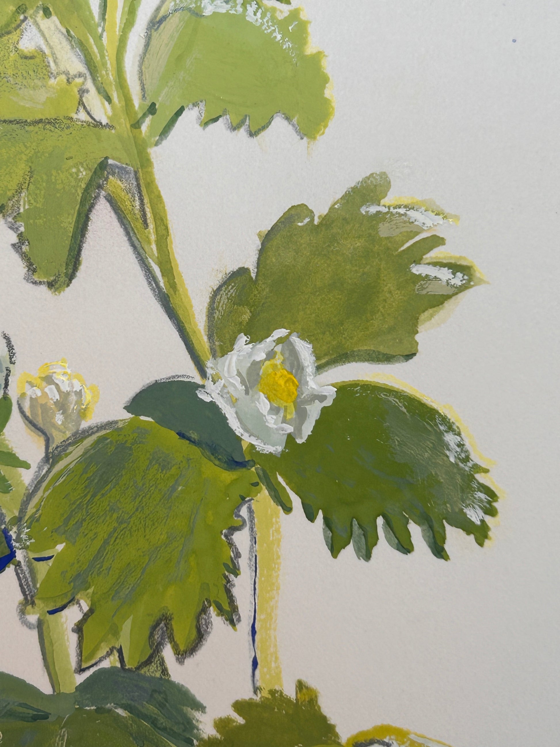 A close-up botanical original gouache painting of a strawberry plant closeup dominated by green leaves and a white flower with a yellow center on a light off-white background.