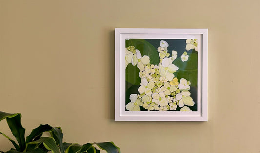 Desperate for Green (New Size!)— Fine Art Print (10x10 fits 12×12 frame)